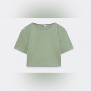 Zara Women's Sage Green Crop Top